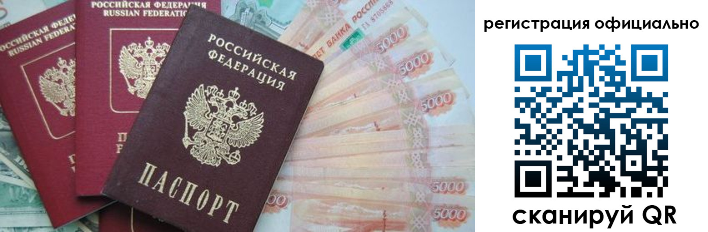 прописка законно в Заринске