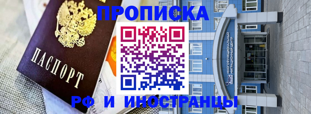 прописка законно в Заринске